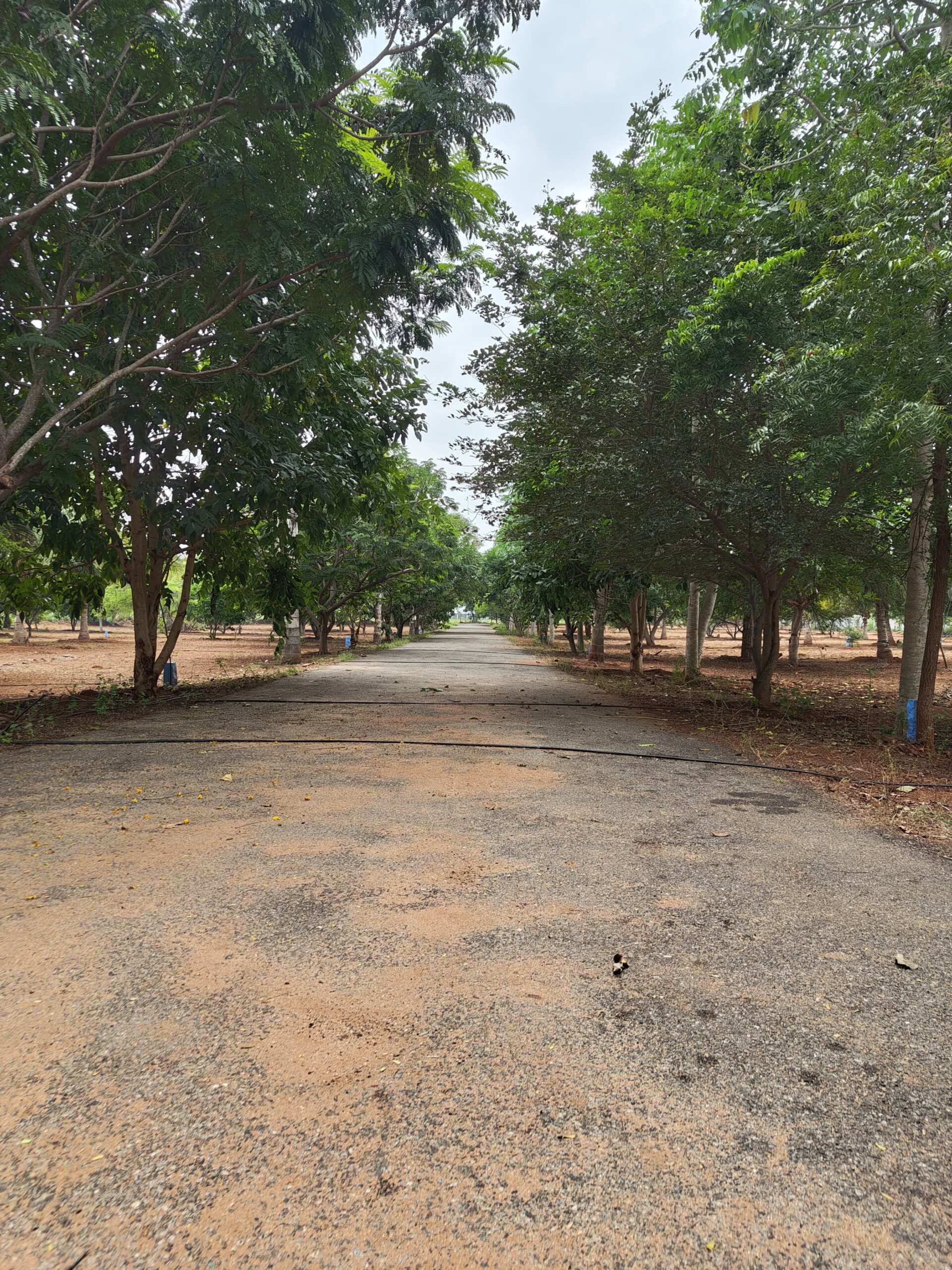 IMG 20241210 WA0040 scaled